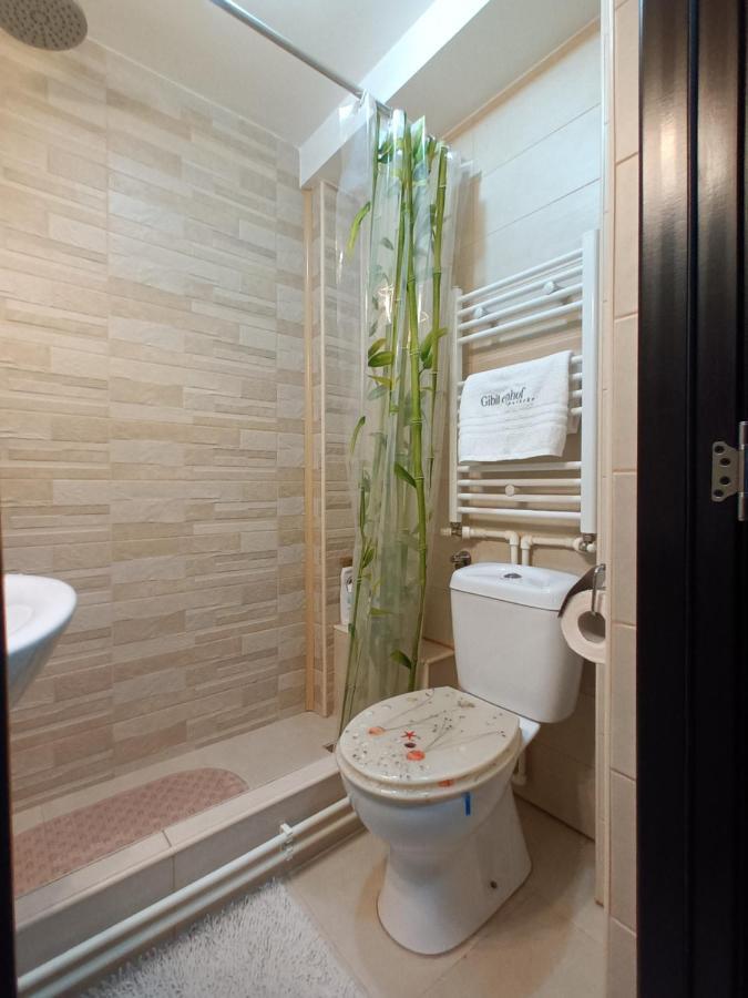Studio Central Hunedoara Buitenkant foto